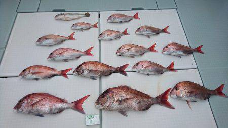 フィッシングボートACE(エース) 釣果