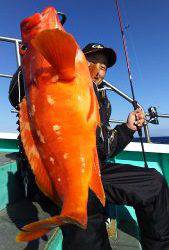 伊豆下田フィッシング 釣果