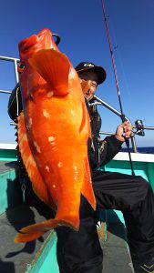 伊豆下田フィッシング 釣果