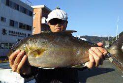 伊豆下田フィッシング 釣果