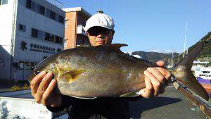 伊豆下田フィッシング 釣果