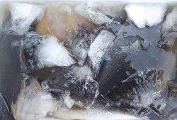 伊豆下田フィッシング 釣果