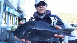 伊豆下田フィッシング 釣果