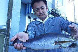 伊豆下田フィッシング 釣果