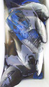 伊豆下田フィッシング 釣果