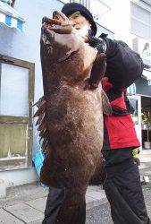 伊豆下田フィッシング 釣果