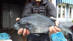 伊豆下田フィッシング 釣果