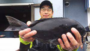 伊豆下田フィッシング 釣果