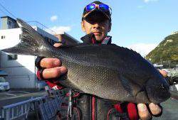 伊豆下田フィッシング 釣果