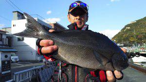 伊豆下田フィッシング 釣果