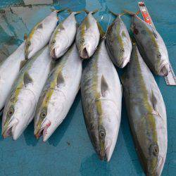 アジアマリンサービス 釣果