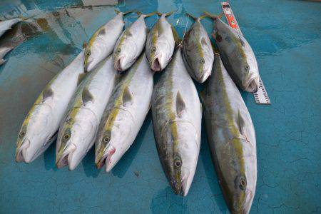 アジアマリンサービス 釣果