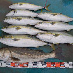 アジアマリンサービス 釣果