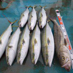 アジアマリンサービス 釣果