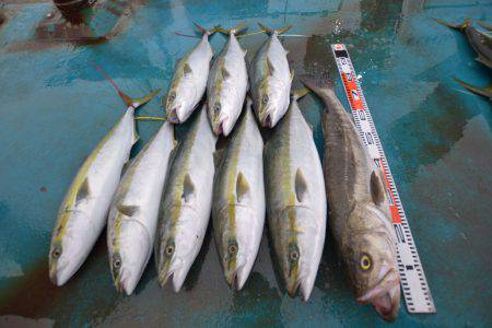 アジアマリンサービス 釣果