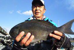 伊豆下田フィッシング 釣果