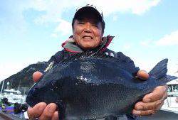 伊豆下田フィッシング 釣果