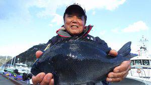 伊豆下田フィッシング 釣果