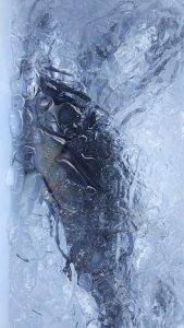 伊豆下田フィッシング 釣果