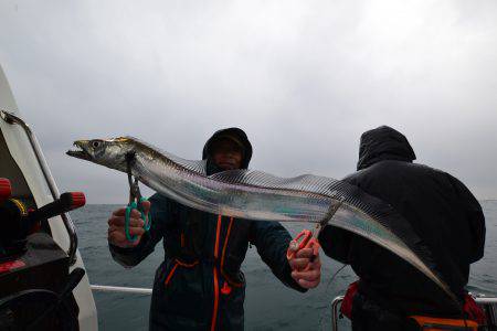 アジアマリンサービス 釣果