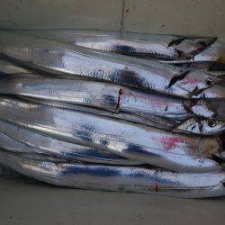 アジアマリンサービス 釣果