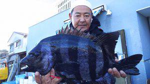 伊豆下田フィッシング 釣果