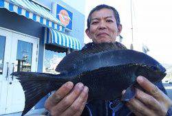 伊豆下田フィッシング 釣果