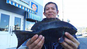 伊豆下田フィッシング 釣果
