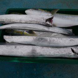 アジアマリンサービス 釣果