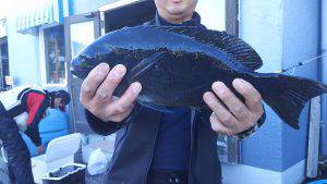 伊豆下田フィッシング 釣果