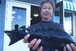 伊豆下田フィッシング 釣果