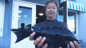 伊豆下田フィッシング 釣果