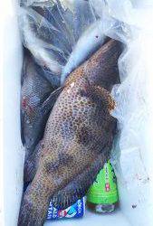 伊豆下田フィッシング 釣果