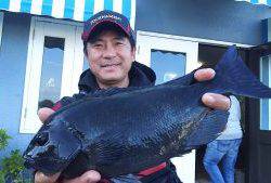 伊豆下田フィッシング 釣果