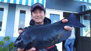 伊豆下田フィッシング 釣果