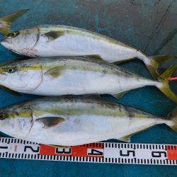 アジアマリンサービス 釣果