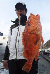 伊豆下田フィッシング 釣果