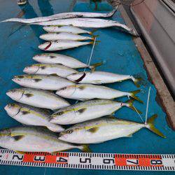 アジアマリンサービス 釣果