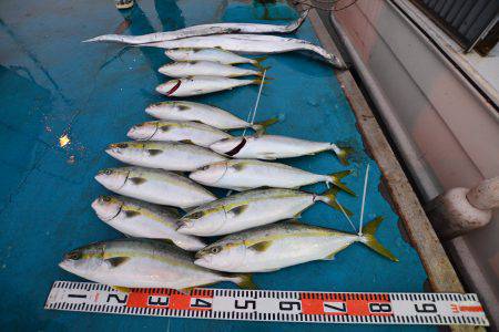 アジアマリンサービス 釣果