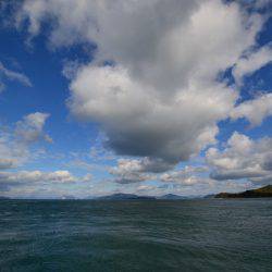 アジアマリンサービス 釣果