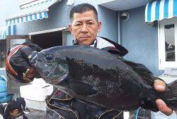 伊豆下田フィッシング 釣果