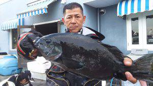 伊豆下田フィッシング 釣果