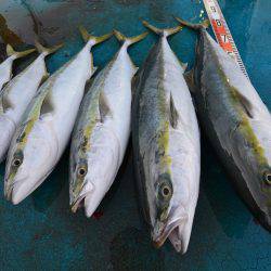 アジアマリンサービス 釣果