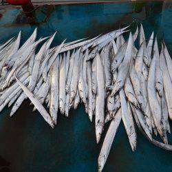 アジアマリンサービス 釣果