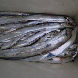 アジアマリンサービス 釣果