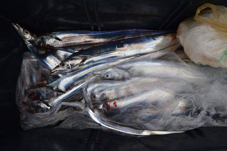 アジアマリンサービス 釣果