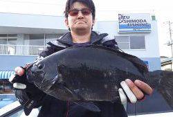 伊豆下田フィッシング 釣果