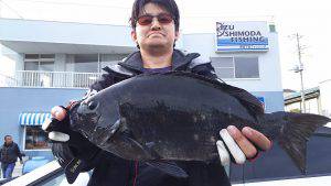 伊豆下田フィッシング 釣果