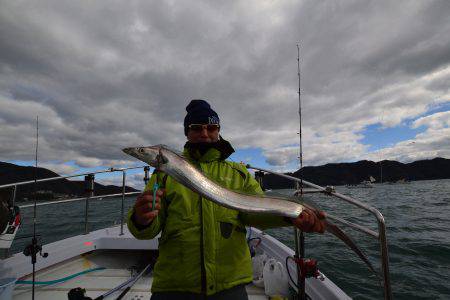 アジアマリンサービス 釣果