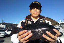 伊豆下田フィッシング 釣果